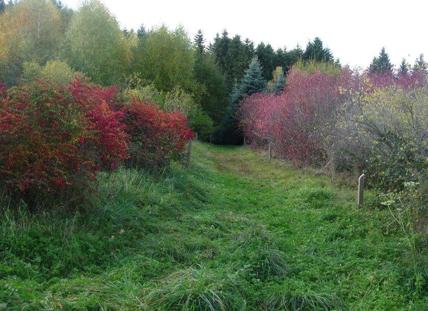 Arboretum de Charvols, Malvières, France, France
